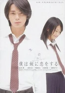 温柔的谎言电视剧